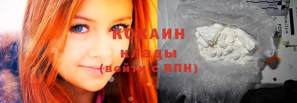 дживик Аркадак