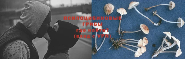 дживик Аркадак